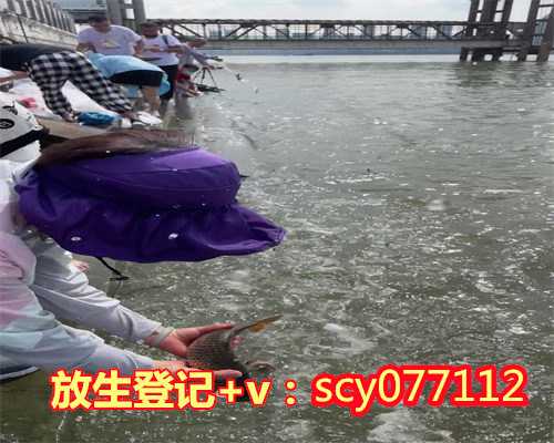 黑龙江公园放生金鱼，黑龙江省海林市报恩寺将举行寺院落成开光典礼