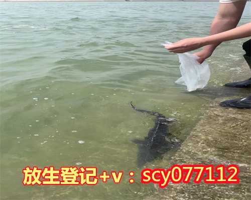 南京适合放生鱼的河流，南京惠济讲