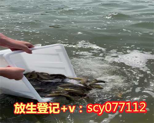 惠州放生护生，惠州钓起来的鱼放生会死吗，惠州上