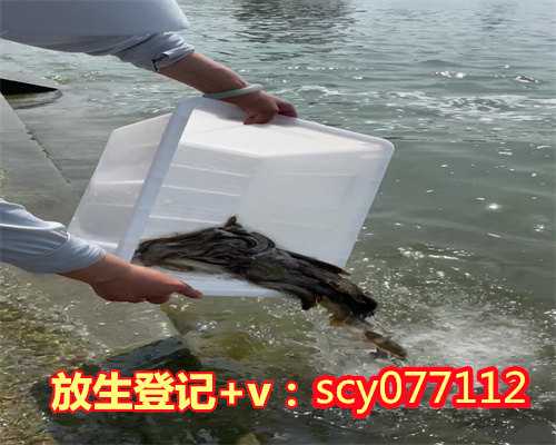 柳州放生仓鼠,柳州2023年6月放生日,柳州周边的放生池有哪些