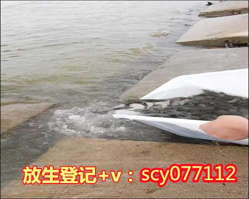 <b>杭州西湖可以放生吗，戊戌冬月十五杭州灵隐寺举行放生祈福法会</b>
