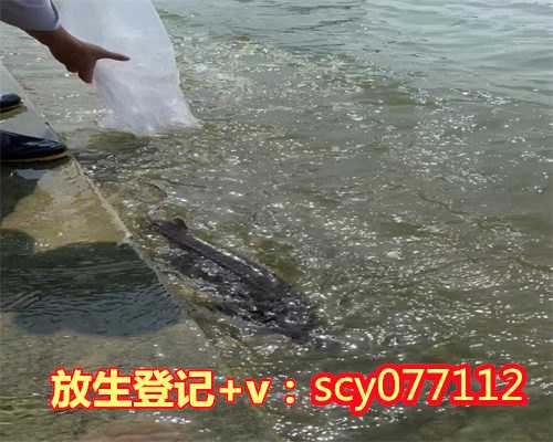 惠州公园放生虾，惠州允许放生的水域，惠州蝌蚪去哪里放生