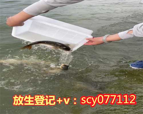 柳州求子放生鱼有用吗,柳州可以放生的地方,九月十九放生的功德