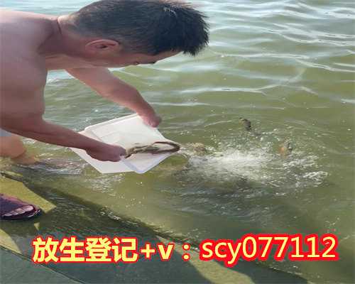 滁州放生鱼的图片,滁州哪里有放生鹌鹑的地方呀,滁州冬天放生蜗牛怎么处理