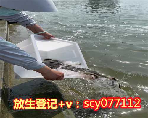 南京适合放生的鱼类，南京崇庆寺举行水陆法会之送圣仪式