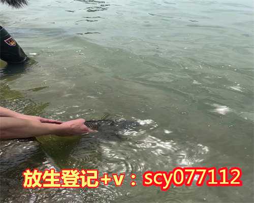 重庆最新放生消息，两老人在重庆嘉陵江中钓起鳄鱼疑似被人放生