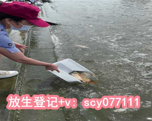 上海虾可以放生吗，【泥鳅能不能放生】上海放生买鱼去哪里买